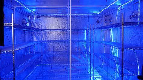 While lower temps will allow growth to occur, it'll be slower then if it were at a higher temperature. . Mushroom incubation chamber